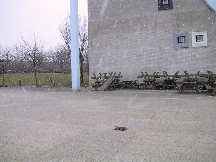 [Foto]