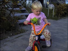 Cykeludenfor