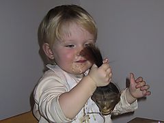 Skrumpehovedmos