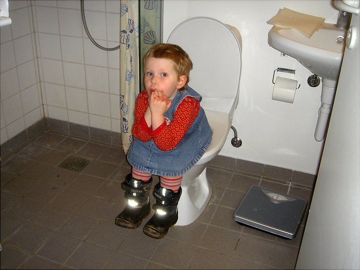 Frida toilet