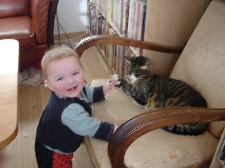 Sigurd leger med katten
