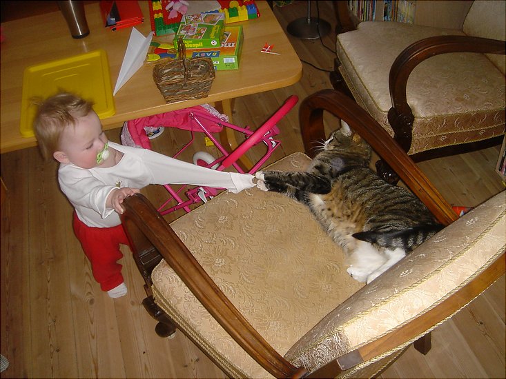 Sigurd kat �rme