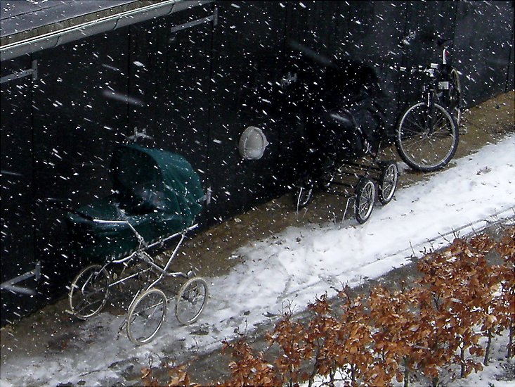 Snevejr