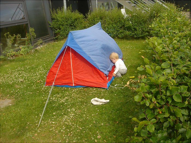 Sigurd telt