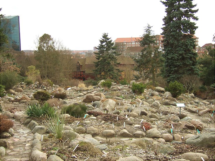 Botanisk have