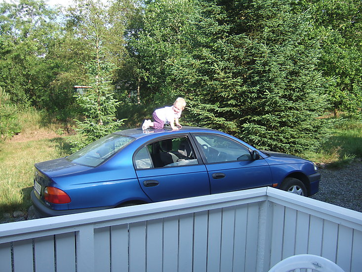 Sigurd p� taget af bilen