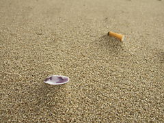 Muslingeskal cigaretskod