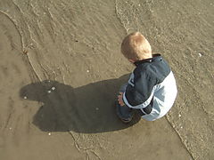 Bellevue strand sigurd