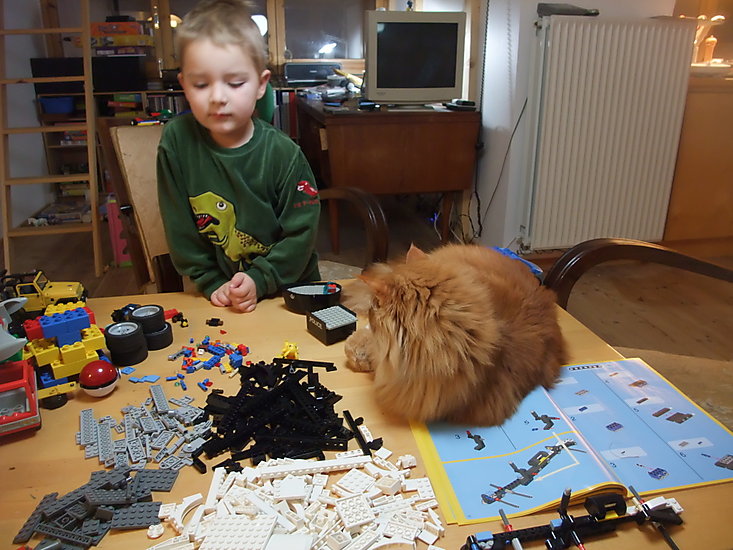 Sigurd l e g o kat