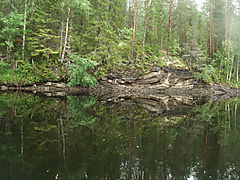 H�rkan klippe tr�r spejling