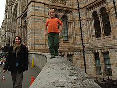 National history museum Sigurd balance