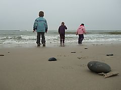 -1804_4_SigurdFridaNajaVesterhavet_E_Crop