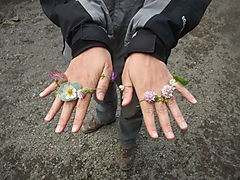 -1550_HljodaklettarBlomsterringe