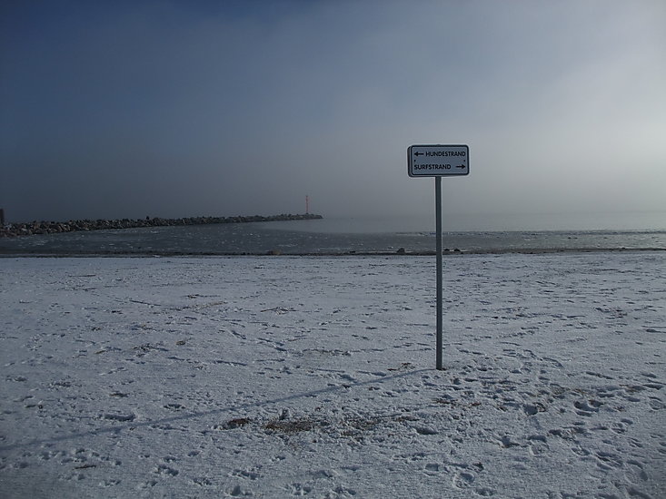 -1308_DampHundestrand
