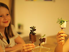 -2114_3_FridaIsKrydderurter