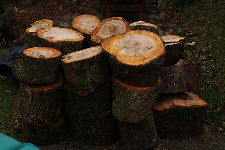 -0934_3_Braende