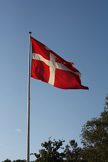 -1911_5_Flag