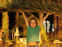-2018_6_TenerifeSigurdPalmeblad