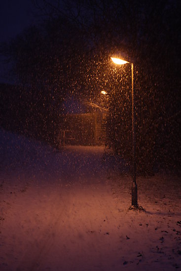 -0816_1_LygtepaelSne