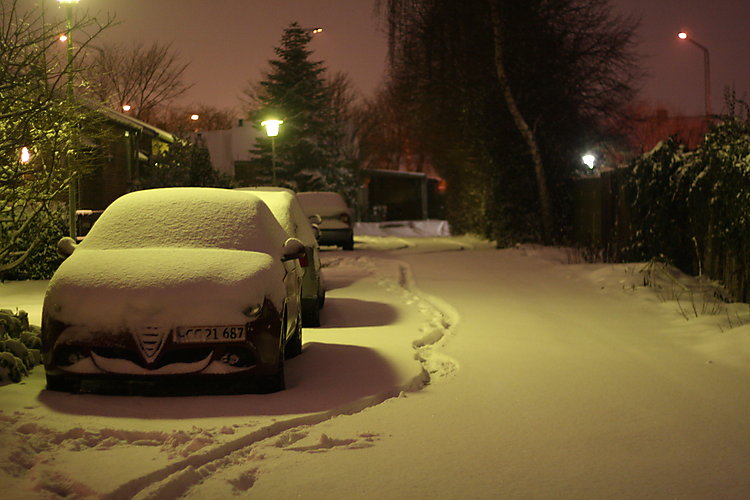 -0733_3_BilSne