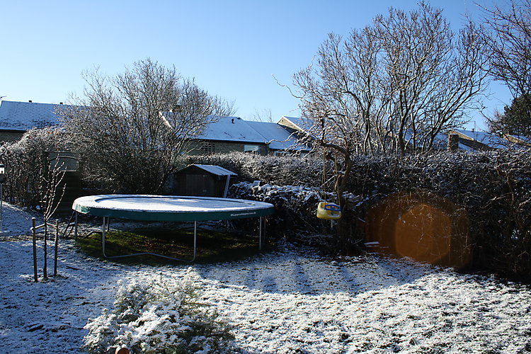 -1040_2_HaveTrampolinSne