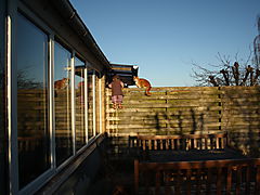 -1747_1_AstaMonsRaekvaerk