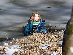 -1634_SigurdGennemIsen_E