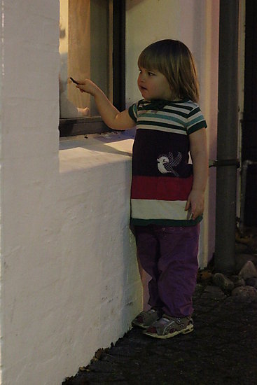 -0756_6_AstaVindueVuggestue