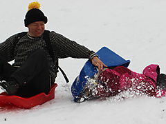-1213_14_TokeAstaKaelkeSneAstaStyrt_TAHanne