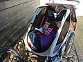 -0647_AstaBamseCykelvogn
