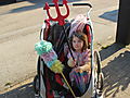 -0746_8_AstaKjoleStoevekostTreforkParaplyCykelvogn