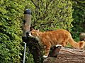 -1536_MonsFoderstationFuglefroe
