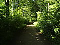 -1656_1_RiisSkov