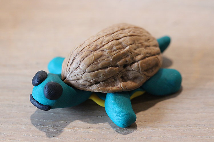 -1526_2_FimolerSkildpadde