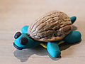 -1526_2_FimolerSkildpadde