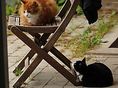 -1638_3_MonsStolMomo