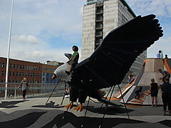 -1203_4_Dokk1SigurdFugl