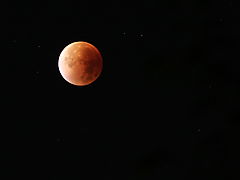 -0512_2_Maaneformoerkelse_Crop