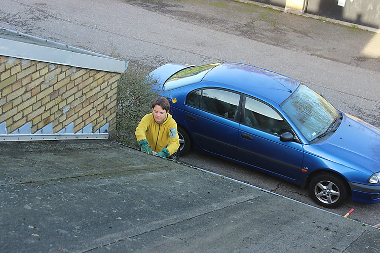 -1209_3_HanneRenseTagrendeBil