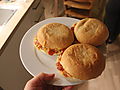 -1723_Pizzaburger