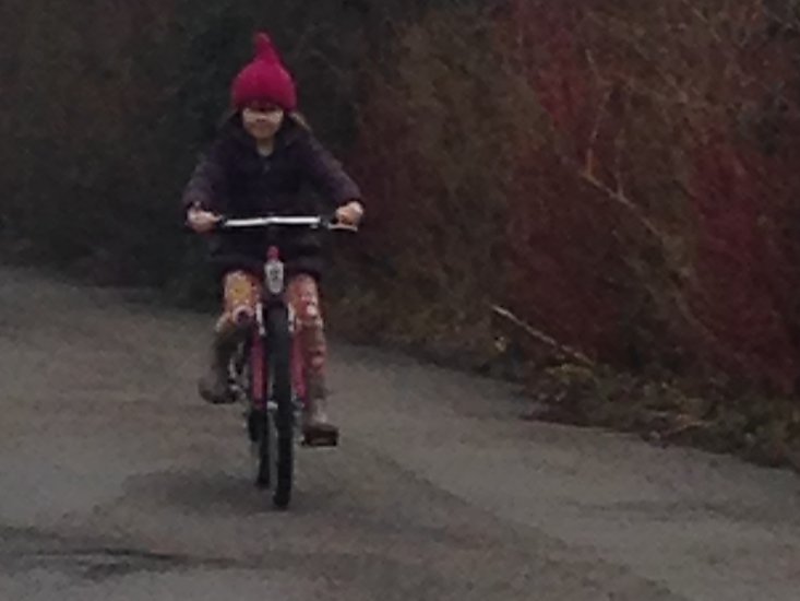 -1003_1_AstaNyCykel_TAHanne_Crop
