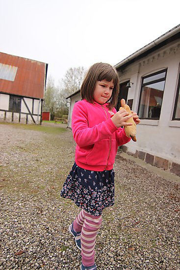 -1837_AstaHotdog