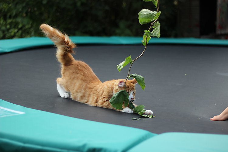 -1320_2_Trampolin_Stoffer