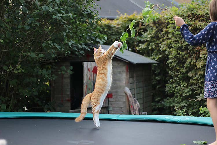 -1320_5_Trampolin_Asta_Pind_Stoffer
