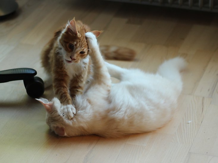 -1825_5_StofferEigilSlaas_Crop