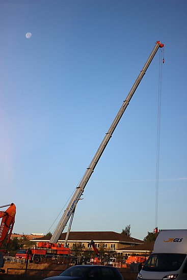 -0809_2_KranMaane