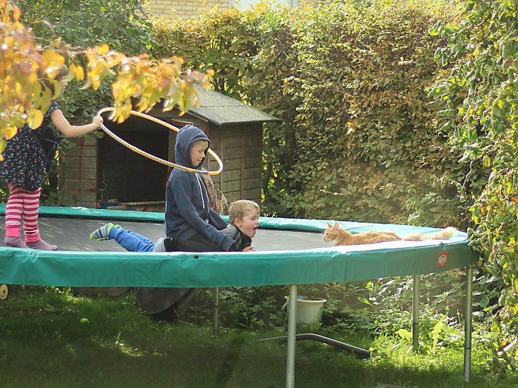 -1325_4_AstaSilasBirkTrampolin_Stoffer_Crop