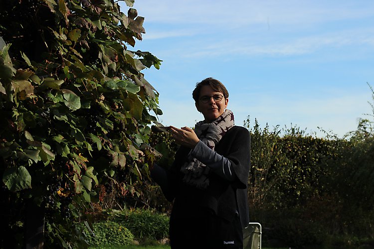 -1303_3_HannePlukkerVindruer
