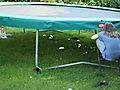 -1815_2_HaveSvampeTrampolinAsta