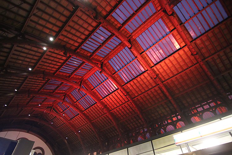 -1728_1_KoebenhavnsHovedbanegaardTagRoedtLys